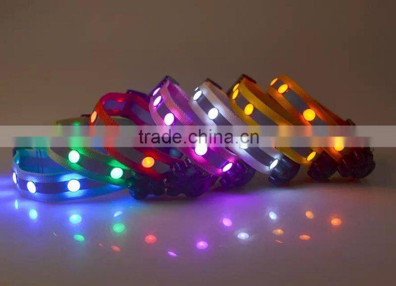 light up you and your pet dog evening dog collar with led lights