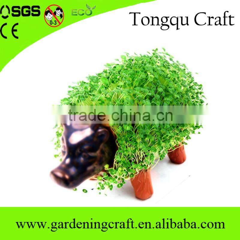 return gifts for birthday chia pet diwali gifts baby shower gifts