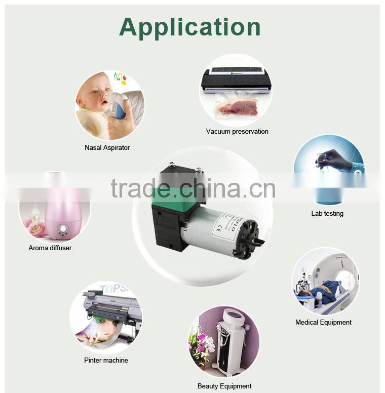 6v 12v 24v dc diaphragm small ozone purifier for air water with air pump