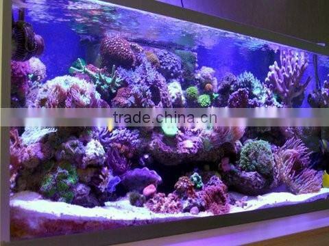 Elegant design product 135W freshwater saltwater led aquarium light glisten 135