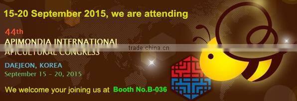 Professional supplying honey comb beeswax foundation 2015