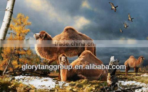 dehaired camel hair wool