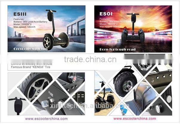 Professional Street Pro Reliable Self Balance Two Wheeled Stunt Scooter with CE