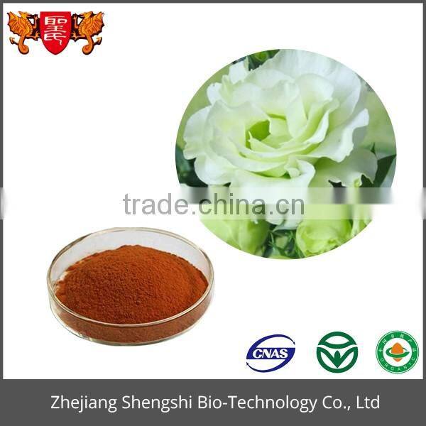 Hot sale fresh cut flowers Balloon flower extract powder with high quality