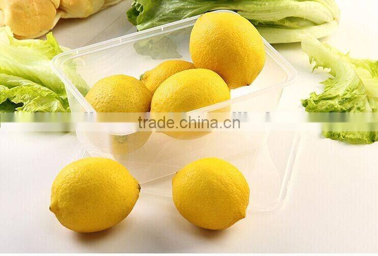 500ML RECT. TAKEAWAY FOOD CONTAINERS