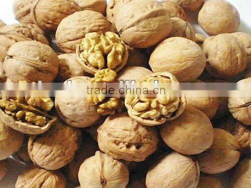 walnuts in shell