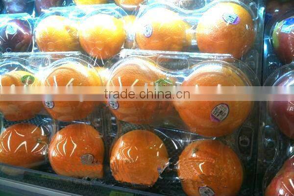 4 compartment plastic compartment boxes food packaging containers clear plastic paking box