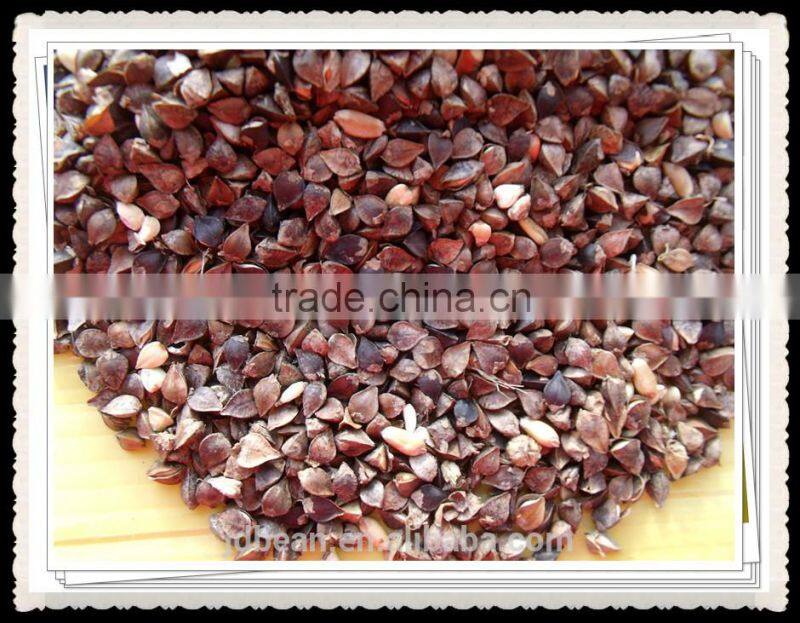 Buckwheat Market Price