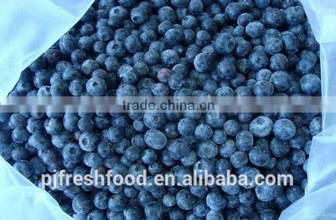 2015 IQF Frozen Blueberry Frozen Fruit Supplier