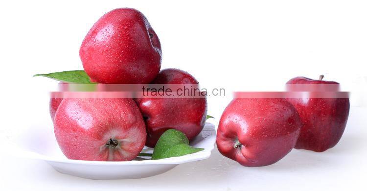 2016 Huaniu apple Fresh apple China Gansu Tianshui Huaniu apple