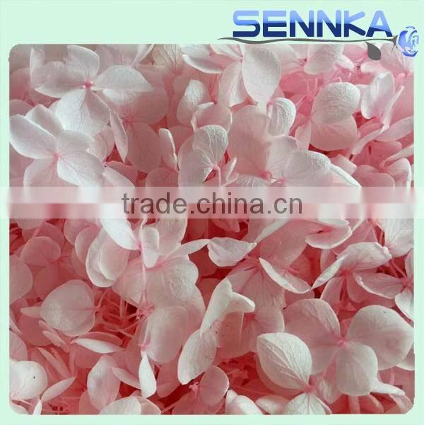 Happy Valentine Glass Dome Preserved Rose Wholesale For Gift