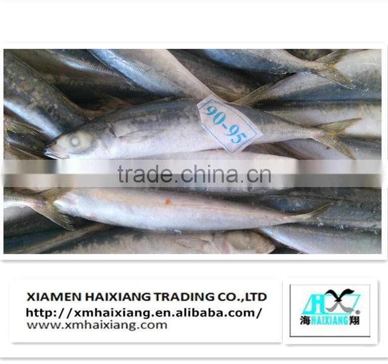 Wholesale frozen pacific mackerel fish in high quality