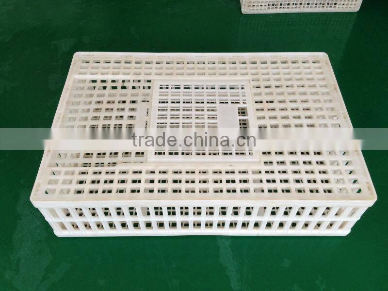 Big strong chicken transport crates