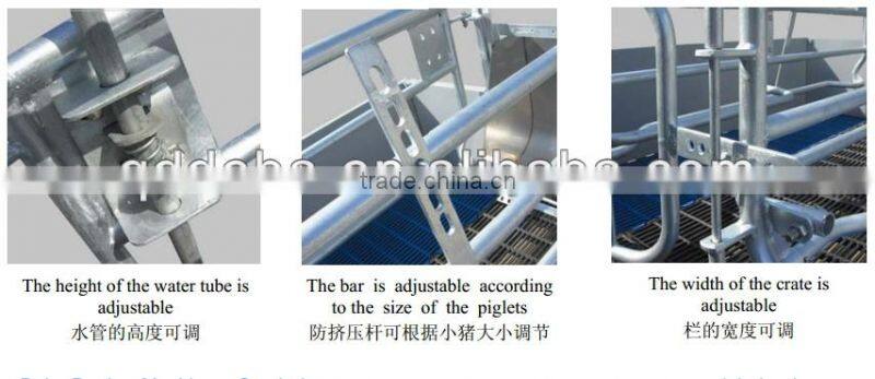High quality galvanized sow obstetric table