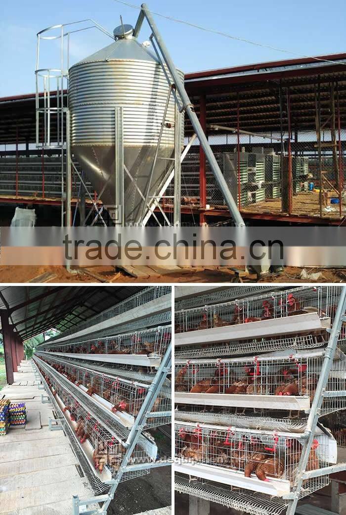 Nigerian chicken farms