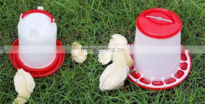 wholesale chicken feeder and drinker for pigeon duck