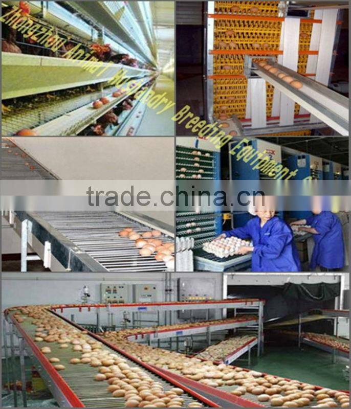 chicken egg collecting machine for hot sale