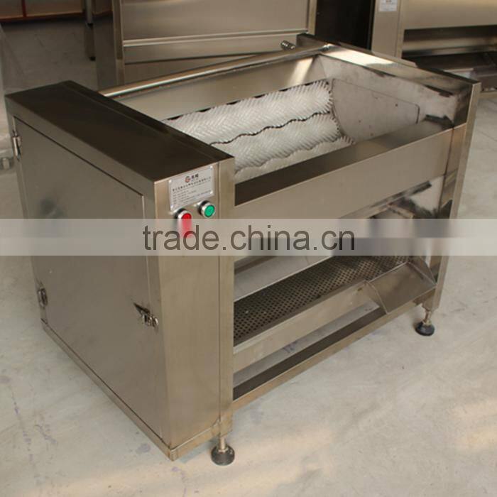 industrial brush type vegetable and fruit washing machine