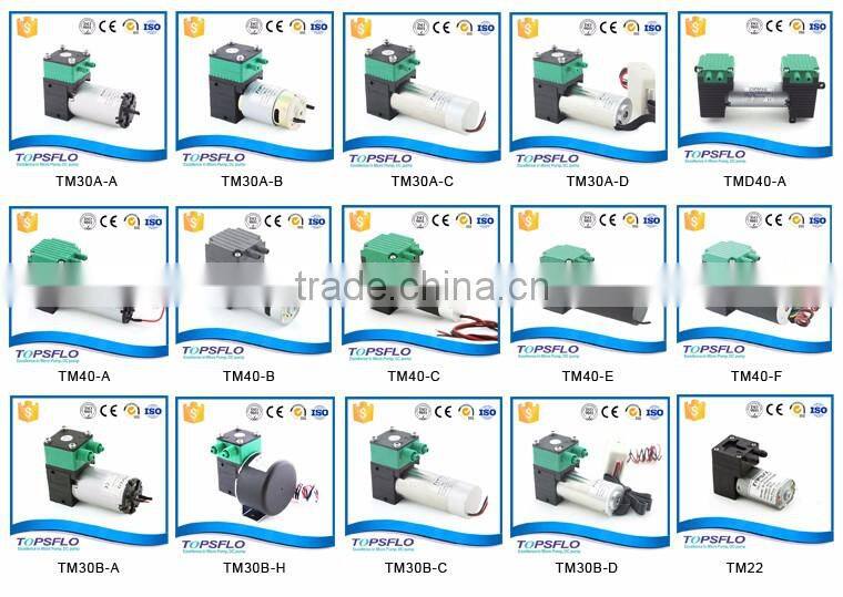 Experienced Mini pump China Supplier
