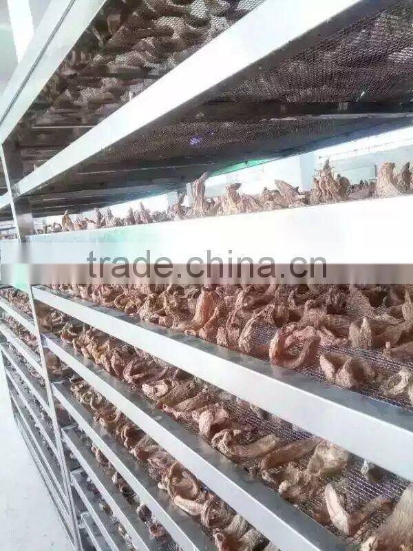 Rhizoma gastrodiae heat pump dehydrator