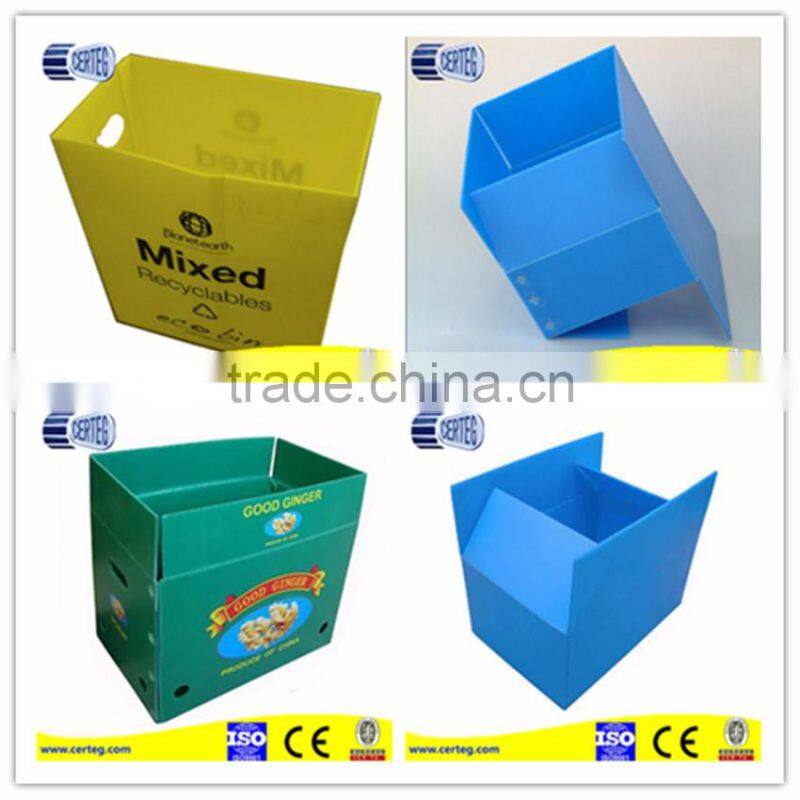 Colorful PP Corrugated Sheet/Coroplast