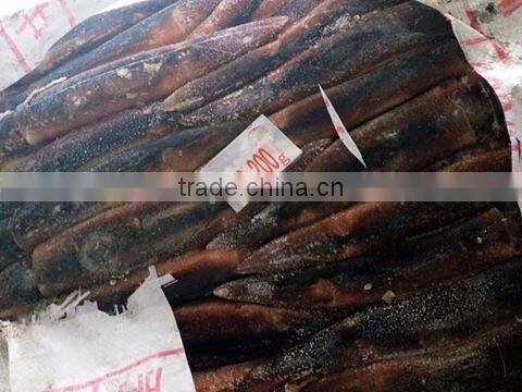 Illex Argentinus Squid Frozen Seafood