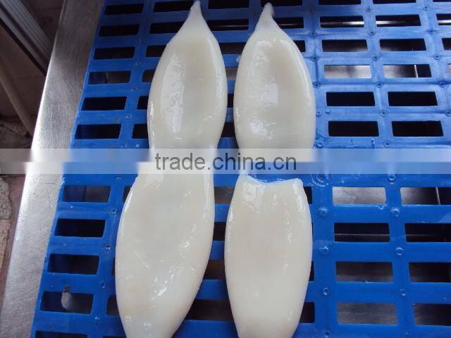 Frozen squid tube