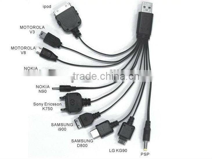 Newest 10in1 car charger and home power partner car charger