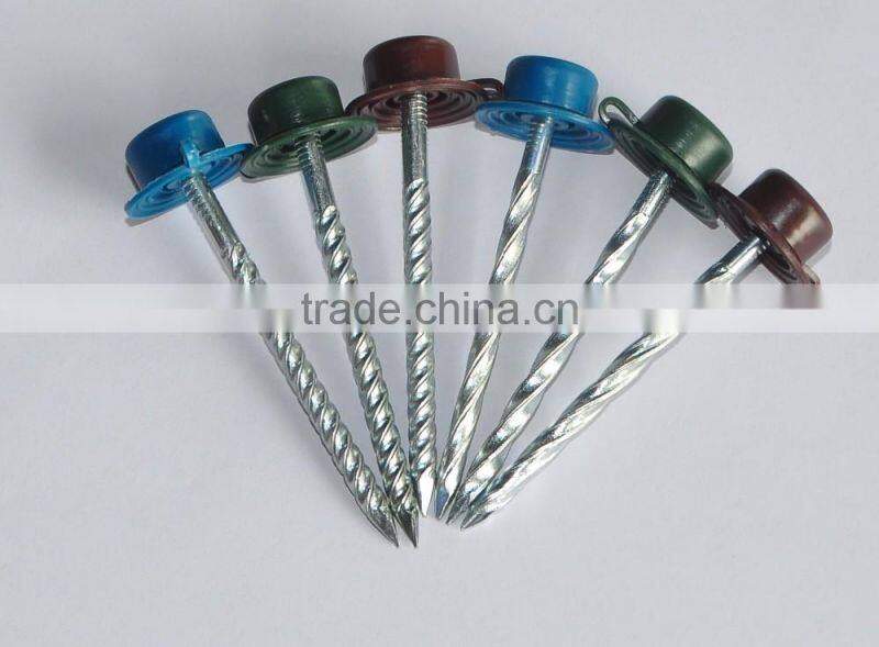 Umbrella Head Galvanized Roofing Nails with Rubber Washer
