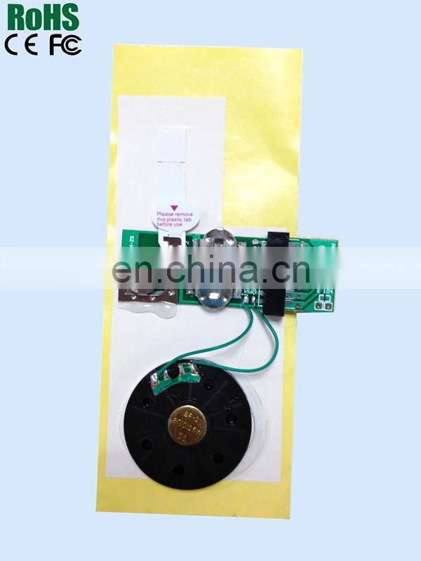Programmer sound chip for greeting cards