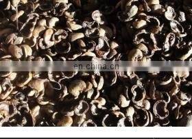 Factory Supply Professional Full Automatic Cashew Skin Shelling Processing Machinery Cashew Nuts Peeling Machine Price