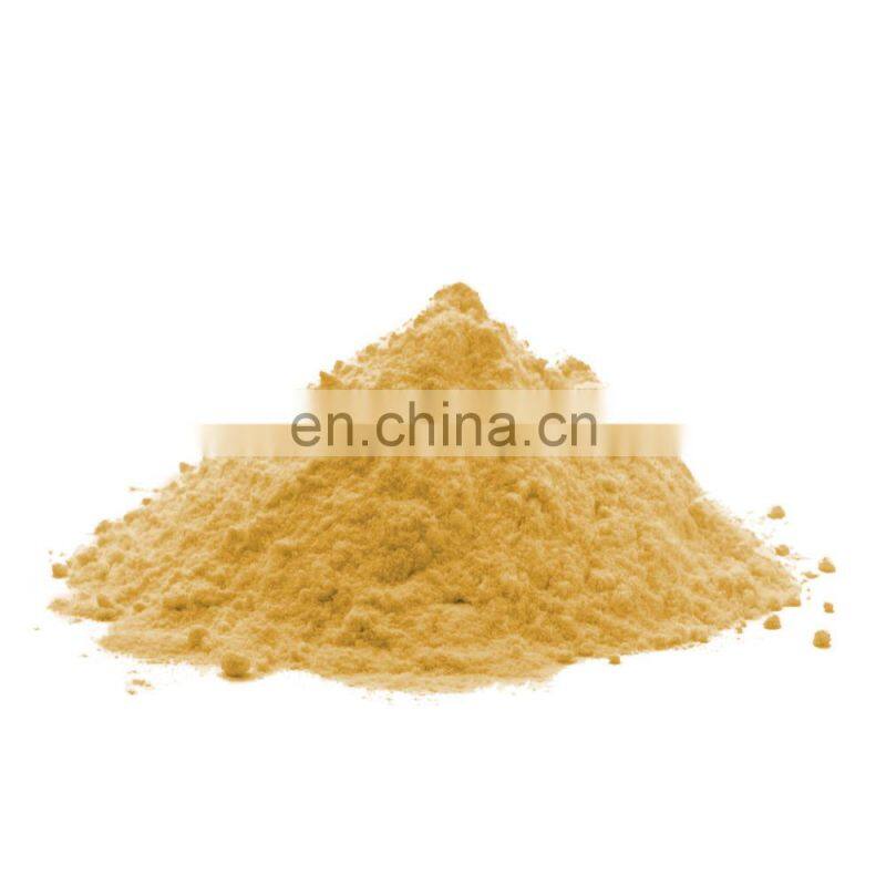 Long-lasting Scent Herbal Extract Fruit Liquid-Solid Extraction Bag Fresh Kumquat Powder For Soft Drink And Milk
