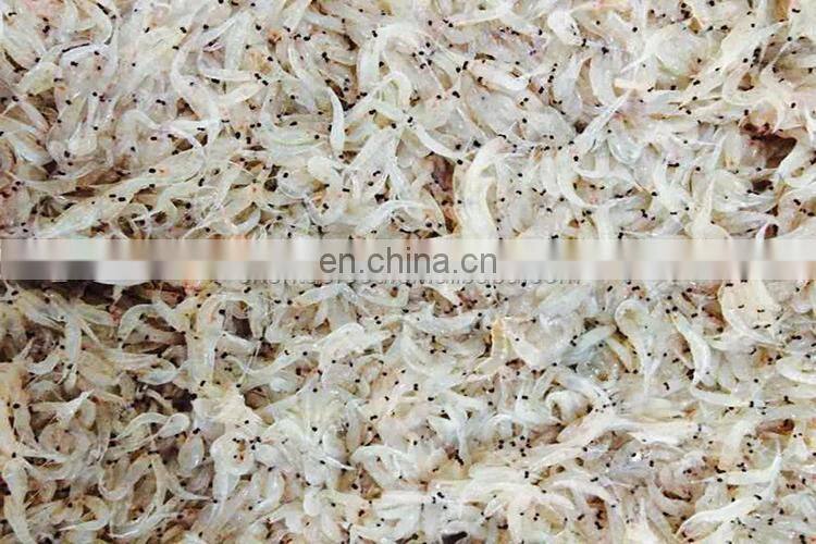 Frozen small white shrimp