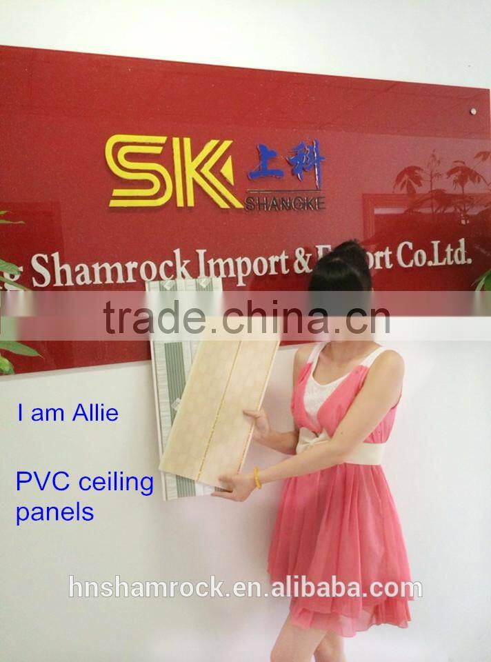Decorative material PVC panels for indoor decoration