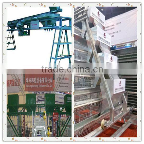 chicken layer cage for sale with chicken cage in China/chicken cage