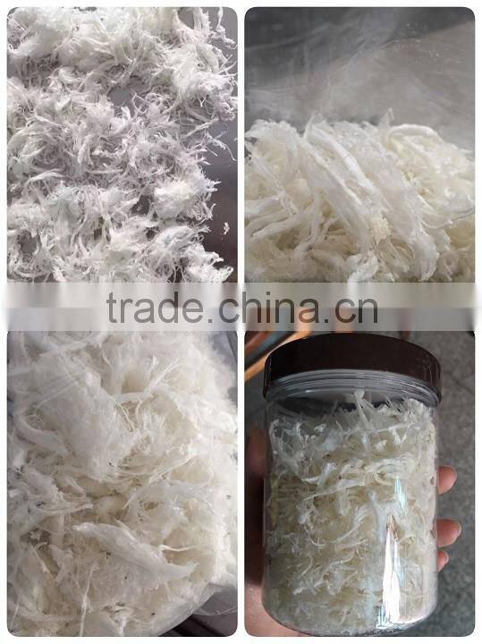 bird's nest freeze dryer SJIA-10F