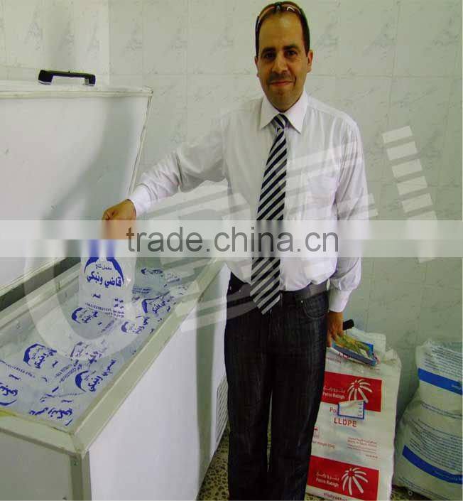 Latest Technology Ice Cube Making Machine with Packing System