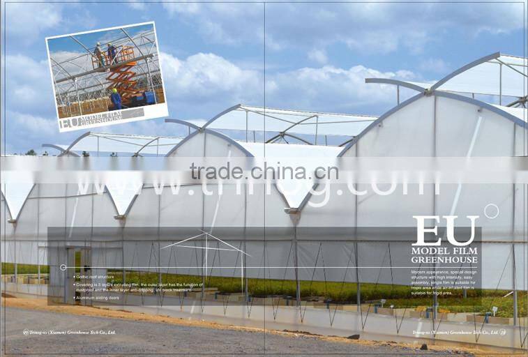 Commercial Greenhouse with Cooling System