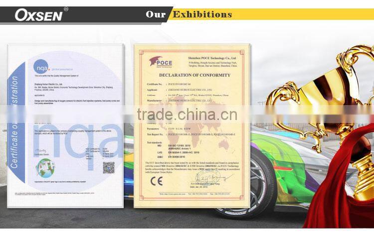 Fuel Pump Module Assembly OE:31110-02000 For HYUNDAI