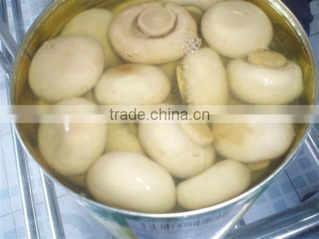 Top quality canned mushroom