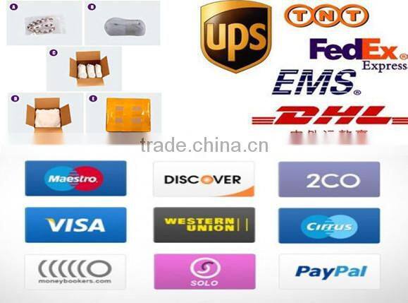 SRB5007 Silver Tone Chain Bracelet with Paw Print Charm Memorial Jewelry Pet Stainless Steel Bangle