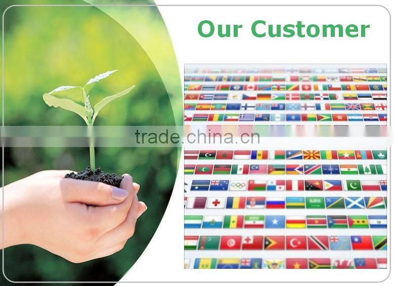GMP factory organic shiitake mushroom powder