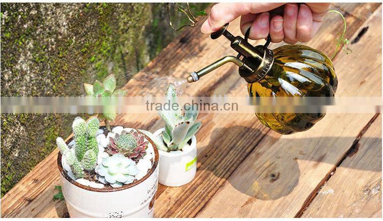 glass spray bottle for home decoration