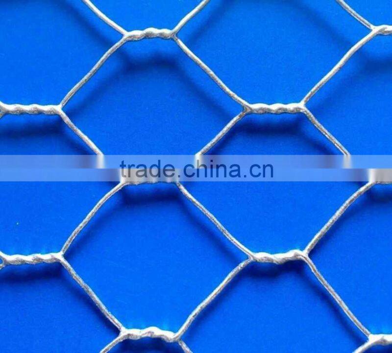 high quality galvanized hexagonal wire mesh with ISO