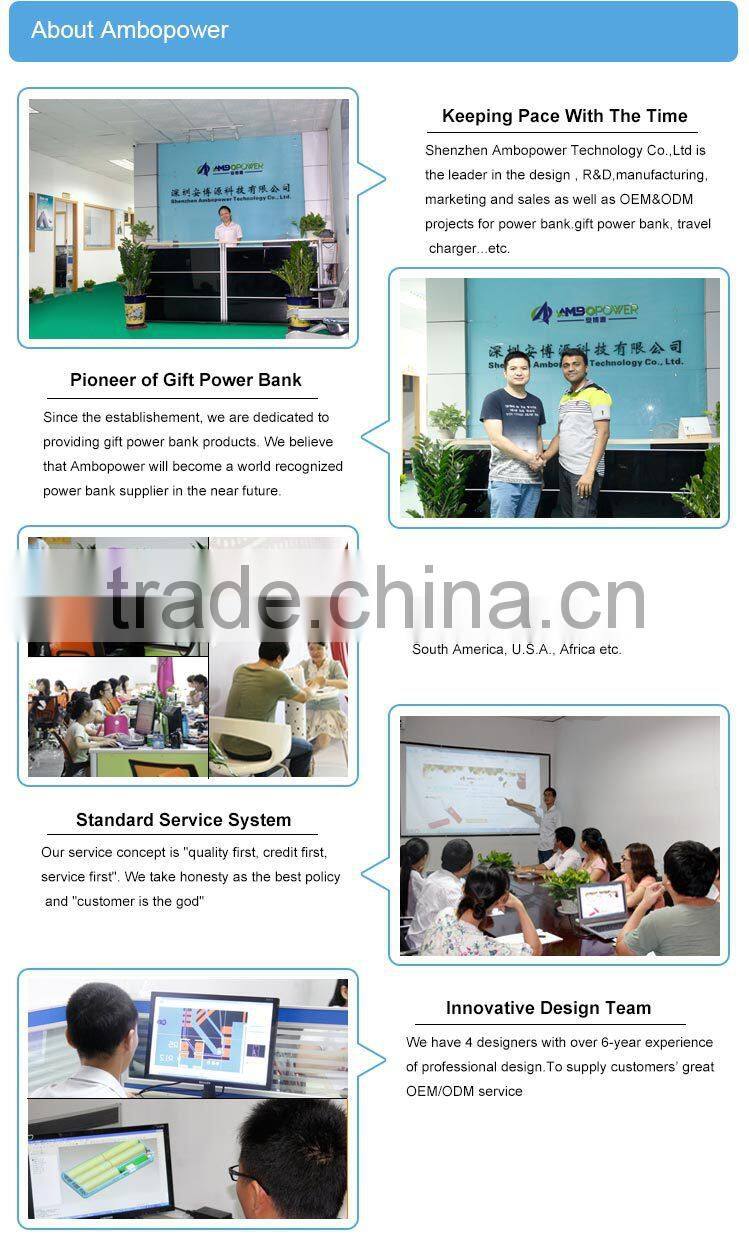 consumer electronics power bank for blueberry