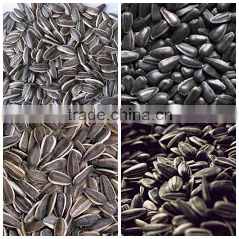Organic sunflower seeds 5009 sunflower seeds white sunflower seeds