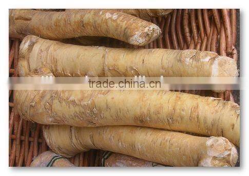 horseradish root dried price