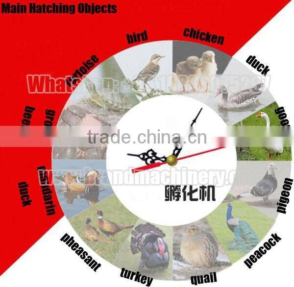 2016 New type automatic computer control incubator prices india