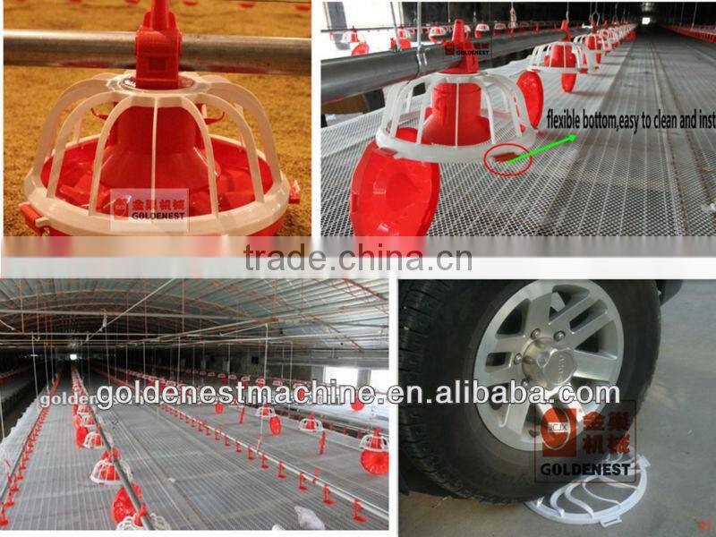 poultry automatic feeding and drinking system