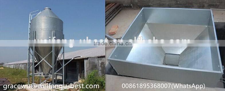 Steel Frame Type and Steel Material metal poultry shed/galvanized chicken equipments shed /chicken house shed